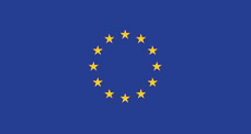 Euro flag