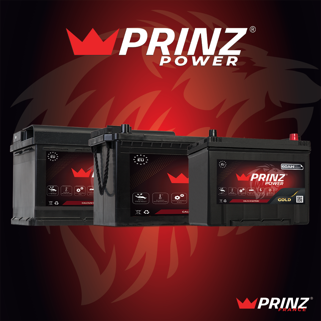 Batteries PRINZ Power