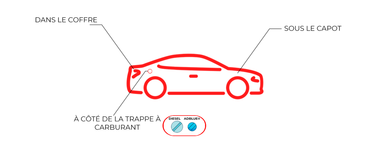 PRINZ Tout ce que vous devez savoir sur l