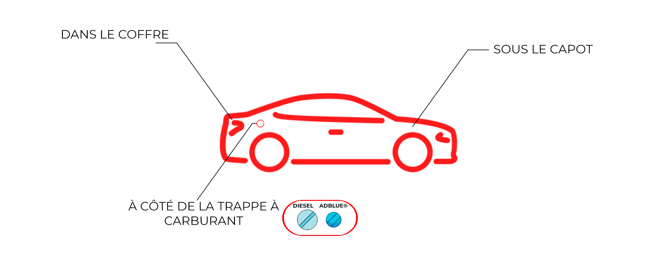 PRINZ - Tout ce que vous devez savoir sur l'AdBlue®